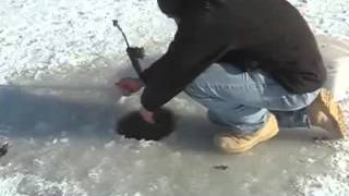 Не реальный улов ! Рыбаки поймали белугу !!!