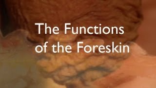 Cut: Slicing Through the Myths of Circumcision(Excerpt)