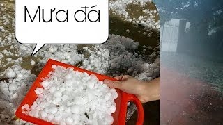 #quynhketsivlop trận mưa đá mồng 1 tết lịch sử
