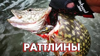 Ловля щуки на раттлины. Теория и практика. Часть 1