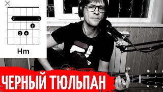 ЧЕРНЫЙ ТЮЛЬПАН ПОД ГИТАРУ ? РОЗЕНБАУМ аккорды строй стандартный