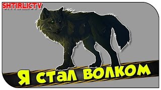 Wolf Simulator ► Я стал волком!!!