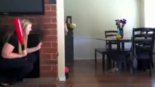 Wiffle Bat to the Vagina Prank! As seen on Tosh.O! [ORIGINAL]