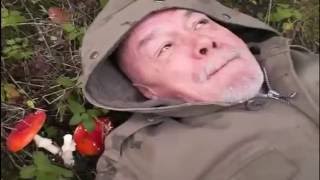 ☠Дед под мухомором - Вред и польза грибов☠