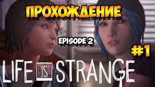 Life Is Strange Episode 2 - изнасилование,наркотики,жесть какая то #1