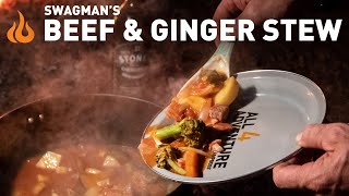 This SIMPLE & TASTY stew is perfect for camping & at home!