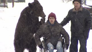 Лапа помощи: дрессировщика в инвалидном кресле возит по Москве медведь