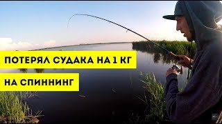 Ловля судака (станица Новониколаевская, Краснодарский край )