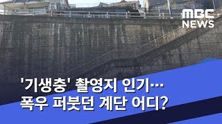 '기생충' 촬영지 인기…폭우 퍼붓던 계단 어디? (2020.02.12/5MBC뉴스)