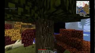 TehJawn's Mindcrack FTB Let's Play Ep. 1 : Getting Established