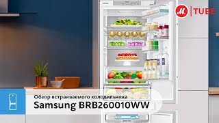 Обзор встраиваемого холодильника Samsung BRB260010WW