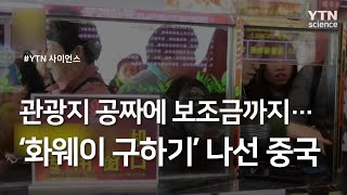 관광지 공짜에 보조금까지...'화웨이 구하기' 나선 중국 / YTN 사이언스