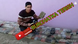 QANDAY QILIB BURCHATKA TERISH XAQIDA QISQACHA MALUMOT