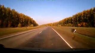 ЯП файлы На ровном месте