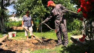 "ДАЧА", выпуск 3: Комната-трансформер
