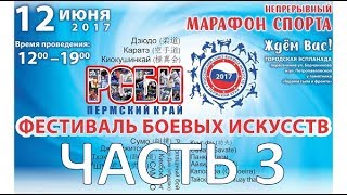 ФЕСТИВАЛЬ БОЕВЫХ ИСКУССТВ (ЧАСТЬ 3)