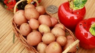Где купить мини-клубни картофеля