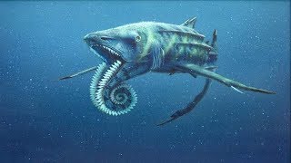 Самые опасные животные океана.Морские глубины. Документальный фильм HD