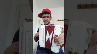 Il musicista Luca Cocco di Ardauli a Pisa(Toscana)
