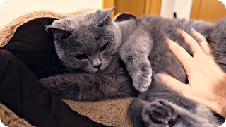 VLOG: СУПЕР ДЕНЕК! 14.10.15