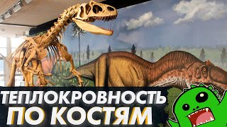 Как обнаружить ТЕПЛОКРОВНОСТЬ по костям? Теплокровность и динозавры [ФИЗИОЛОГИЯ ДИНОЗАВРОВ]