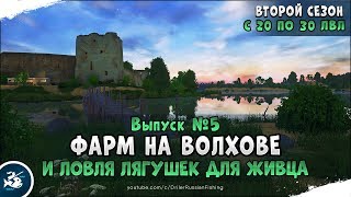 Выпуск #5 • Фарм серебра на Волхове • Лягушка для живца • Прокачка до 30 го уровня • Русская Рыбалка