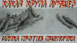 МАНКА ПРОТИВ ПШЕНИЧКИ | КАКАЯ КРУПА ЛУЧШЕ В КАЧЕСТВЕ ПРИКОРМКИ? ЧЕМ ЛУЧШЕ ПРИКАРМЛИВАТЬ РЫБУ НА РЕКЕ