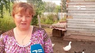 ЛПХ Штановых