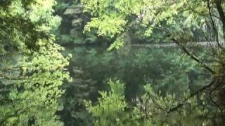 緑も深き若葉の里 / 森山良子