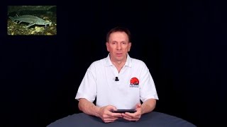 Нерестовый запрет Рязанской области