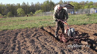 Подготовка мотоблока Салют и посадка картошки