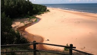 Коп на пляже Саулкрасты (найдено 26,5 монет)