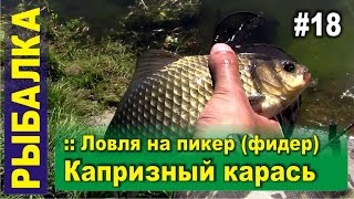 Капризный карась - Ловля на фидер (пикер) - Монтаж Ин-лайн - Фарфорист
