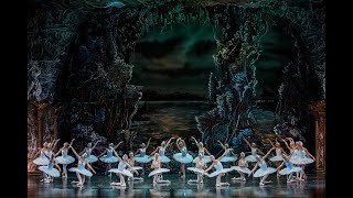 Лебединое озеро / Swan lake