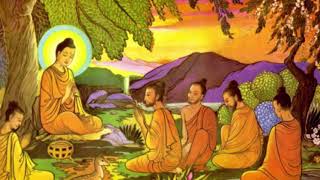 Những cái giá phải trả của NHÂN QUẢ BÁO ỨNG hiện hữu ngay trước mắt bạn nhất định phải tin