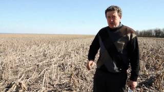 Подсолнечник No-till (перед посевом)
