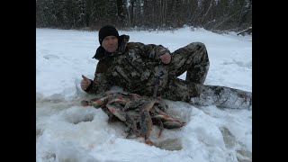 ОКУНЬ НА ЯМАЛЕ В ДЕКАБРЕ 2019! Оторвались на горбачах! Зимняя клёвая рыбалка 19-20! РЫБА ПРЁТ ДУРОМ!