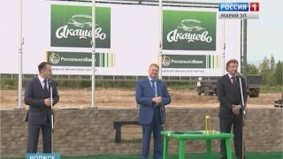 В Волжске начали строить завод по переработке мяса птицы - Вести Марий Эл