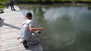 Ловля форели на BLACK HOLE Trout Mania S-662UL 1—7гр. #3 #nsrods #pilotspb