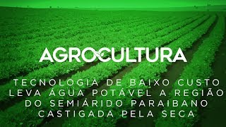 Reportagens especiais de 2019 | AgroCultura