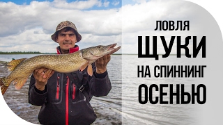 Отличная рыбалка на щуку. Джиг спиннинг осень Волга [FishMasta.ru]