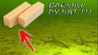 Ни фига себе! РЕАКЦИЯ РЫБЫ НА ВАФЛИ!!! Подводная съемка | Зимняя рыбалка 2018