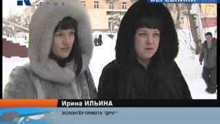 березниковский приют для собак "Друг"