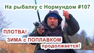 ЗИМА с ПОПЛАВКОМ продолжается! / На рыбалку с Нормундом #107