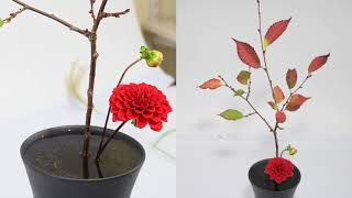 Introducing Shoka Shimputai - Ikenobo Ikebana by Junko