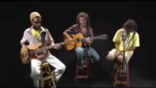 Ponto de Equilí­brio - Árvore Do Reggae