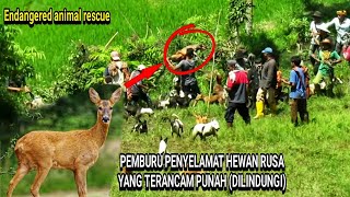 SALUT !!! AKSI PENYELAMATAN HEWAN OLEH PEMBURU SAAT BERBURU