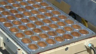 Печь кондитерская электрическая ПК-2 для орешков со сгущенкой