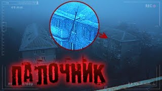 Охота на Палочника ! Жуткое Существо Сняли на Камеру ! Палочник На доме !  Потусторонние
