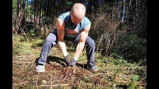 Building Shelter - Off The Grid | A Day In My Life | Yurt, Day 9